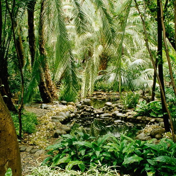 Visita guiada  Jardín Botánico La Concepción