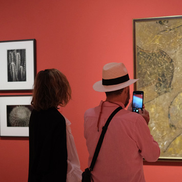 El Museo Carmen Thyssen Málaga celebra la tercera edición del Día Europeo de Amigos de los Museos